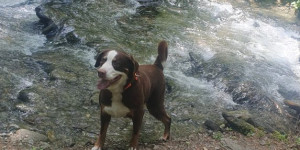 Beitragsbild des Blogbeitrags Ausflug zum Wildwasserpfad Mariensee