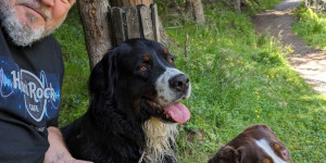 Beitragsbild des Blogbeitrags Aaron und Molly machen Urlaub