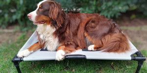 Beitragsbild des Blogbeitrags So ertrage ich die Sommer Hitze! 