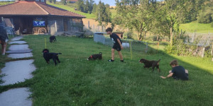 Beitragsbild des Blogbeitrags Bunna, Bruce und Mylo treffen sich 