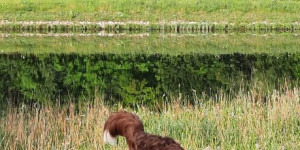 Beitragsbild des Blogbeitrags sommerliche Grüße aus Franken…..