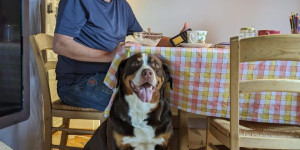 Beitragsbild des Blogbeitrags Fiona feiert heute 7. Jahre