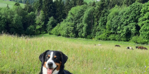 Beitragsbild des Blogbeitrags Dafür nochmals ein herzliches Dankeschön!