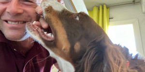 Beitragsbild des Blogbeitrags Ich glaube unser Frechdachs genießt das sehr