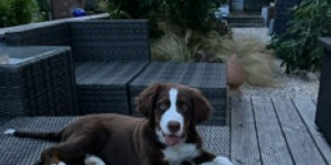 Beitragsbild des Blogbeitrags Neue Bilder von Luc