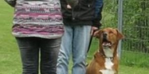 Beitragsbild des Blogbeitrags Gratulation zur Begleithundeprüfung 1