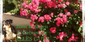 Beitragsbild des Blogbeitrags Glückwunschkarte 