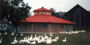 Beitragsbild des Blogbeitrags „Von den Gänsewiesen“ 