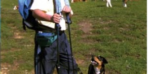 Beitragsbild des Blogbeitrags Almwanderung – Rundwanderung am Hengstpass
