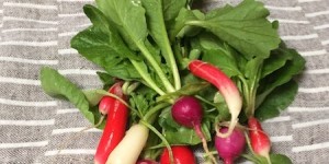 Beitragsbild des Blogbeitrags Radieschensalat 