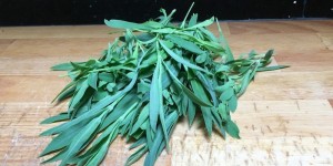Beitragsbild des Blogbeitrags Gefüllte Zucchiniblüten 