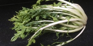 Beitragsbild des Blogbeitrags Puntarelle-Bottarga-Salat