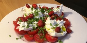 Beitragsbild des Blogbeitrags [Blogevent] Paradeiser ∣ Burrata ∣ Erdbeeren 