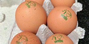Beitragsbild des Blogbeitrags Prentl Hofladen