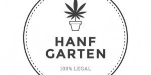 Beitragsbild des Blogbeitrags Startup-Interview mit: Hanfgarten