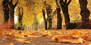 Beitragsbild des Blogbeitrags Oggi è una giornata da ricordare