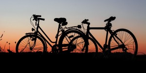 Beitragsbild des Blogbeitrags Da Vienna a Bratislava in bicicletta: informazioni, idee e consigli 