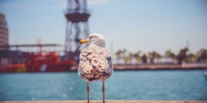 Beitragsbild des Blogbeitrags Comites: arrivederci al 2020!