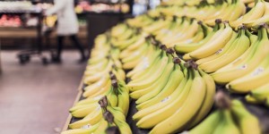 Beitragsbild des Blogbeitrags Supermercati a Vienna: qualche consiglio per orientarsi tra le varie catene