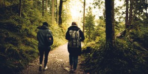 Beitragsbild des Blogbeitrags 5 idee per escursioni a piedi nei dintorni di Vienna