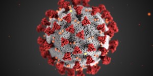 Beitragsbild des Blogbeitrags 100 giorni di Coronavirus in Austria