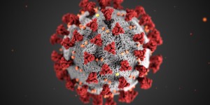 Beitragsbild des Blogbeitrags 100 giorni di Coronavirus in Austria 