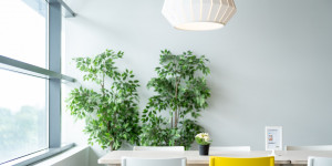 Beitragsbild des Blogbeitrags La casa svedese