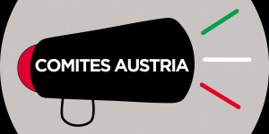 Beitragsbild des Blogbeitrags Il nuovo Comites Austria