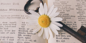 Beitragsbild des Blogbeitrags 5 strumenti online per scrivere meglio in tedesco