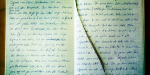 Beitragsbild des Blogbeitrags Reifezeit 