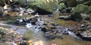 Beitragsbild des Blogbeitrags Teufelin geht baden