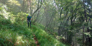 Beitragsbild des Blogbeitrags Tag 11: Wilde Wege #ansmeer