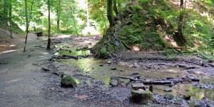 Beitragsbild des Blogbeitrags Spaziergang durch die Hagenbachklamm