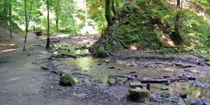 Beitragsbild des Blogbeitrags Spaziergang durch die Hagenbachklamm 