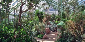 Beitragsbild des Blogbeitrags Ein Besuch im Wüstenhaus Schönbrunn