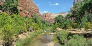 Beitragsbild des Blogbeitrags Reisebericht: Ein Tag im Zion National Park
