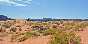 Beitragsbild des Blogbeitrags Reisebericht: Ein Besuch im Coral Pink Sand Dunes State Park 