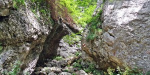 Beitragsbild des Blogbeitrags … wandern – Weichtalklamm 