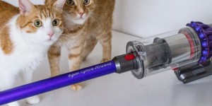 Beitragsbild des Blogbeitrags Frühjahrsputz mit dem DYSON Cyclone v10 animal 