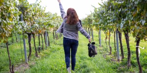 Beitragsbild des Blogbeitrags 3 Eigenschaften der perfekten Herbstjacke