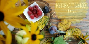 Beitragsbild des Blogbeitrags DIY: HERBSTDEKO AUS DER NATUR  