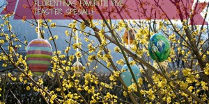 Beitragsbild des Blogbeitrags FLORENTINAS FAVORITE FIVE {OSTERHASEN EDITION}
