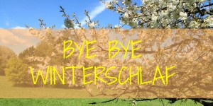 Beitragsbild des Blogbeitrags FÜNF FANTASTISCHE TIPPS GEGEN FRÜHJAHRSMÜDIGKEIT