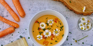 Beitragsbild des Blogbeitrags WÜRZIGE KAROTTENSUPPE MIT FRÜHLINGSBLÜTEN