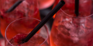 Beitragsbild des Blogbeitrags CRANBERRY-SPRITZ