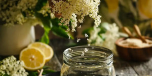 Beitragsbild des Blogbeitrags PRICKELNDE HOLUNDERBLÜTEN-BOWLE