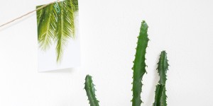 Beitragsbild des Blogbeitrags Urban Jungle Bloggers: Plants & Art 