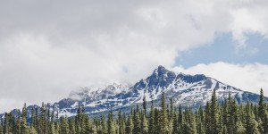 Beitragsbild des Blogbeitrags Roadtrip durch Kanada: Banff & Jasper National Park 