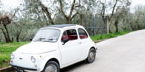 Beitragsbild des Blogbeitrags Mit Ginger durch das Val d’Orcia