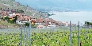 Beitragsbild des Blogbeitrags Montreux Riviera: Vevey & die Weinterrassen von Lavaux
